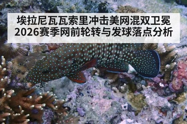 埃拉尼瓦瓦索里冲击美网混双卫冕 2026赛季网前轮转与发球落点分析